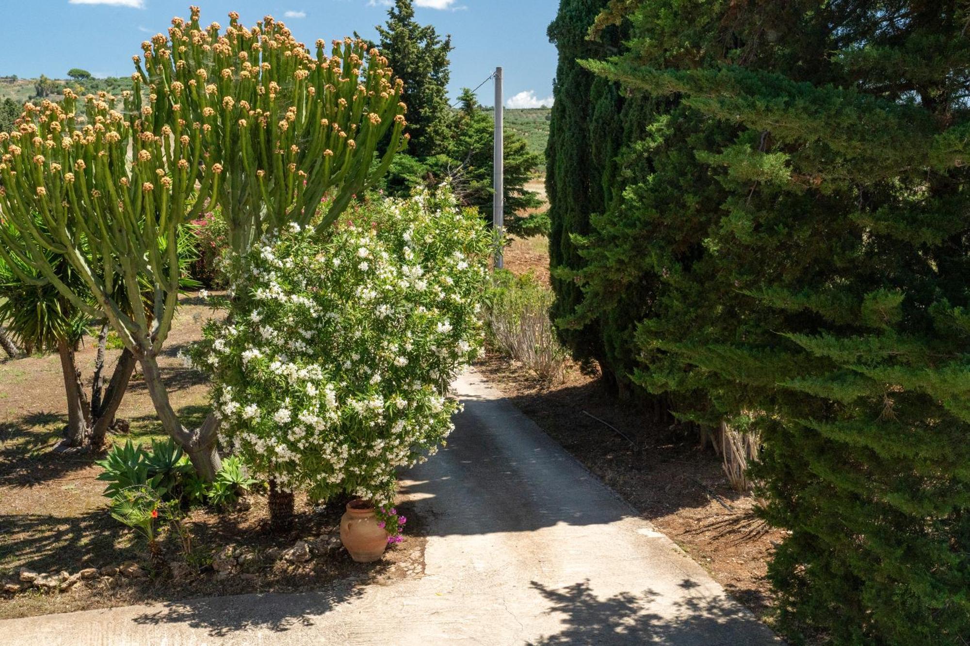 Casa Vacanze Verdemare con Piscina Ribera Exterior foto