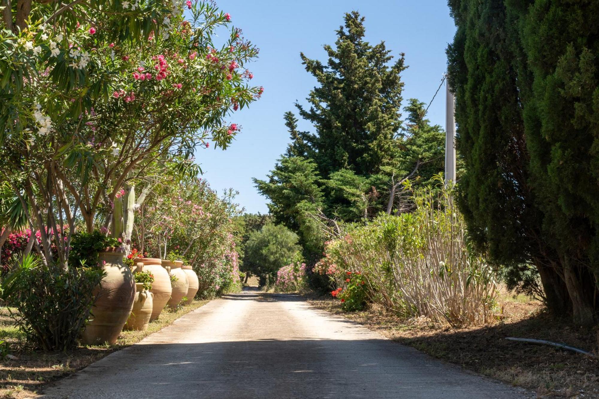 Casa Vacanze Verdemare con Piscina Ribera Exterior foto